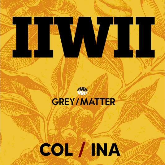 IIWII by Grey Matter