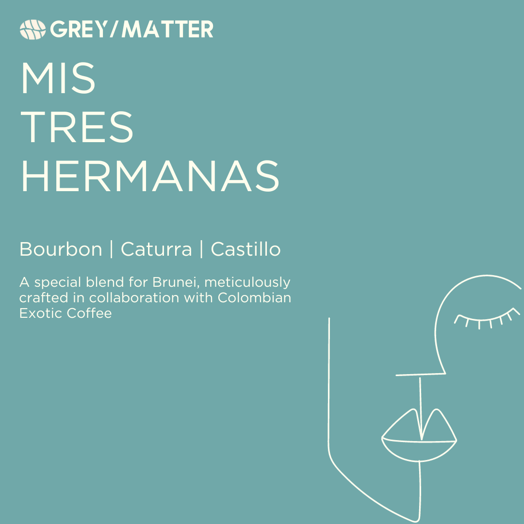 Mis Tres Hermanas by Grey Matter