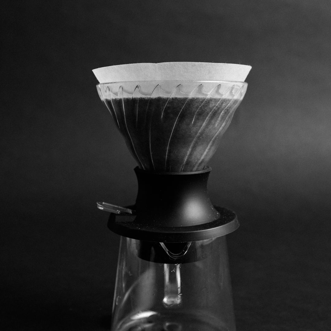 Fast Cone M Specialty Coffee Filters