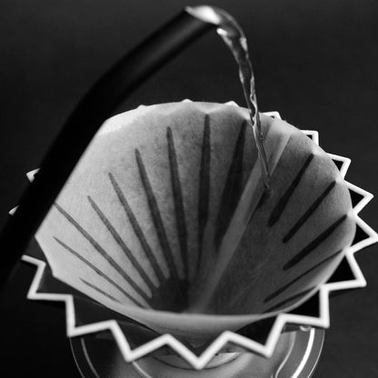 Fast Cone M Specialty Coffee Filters